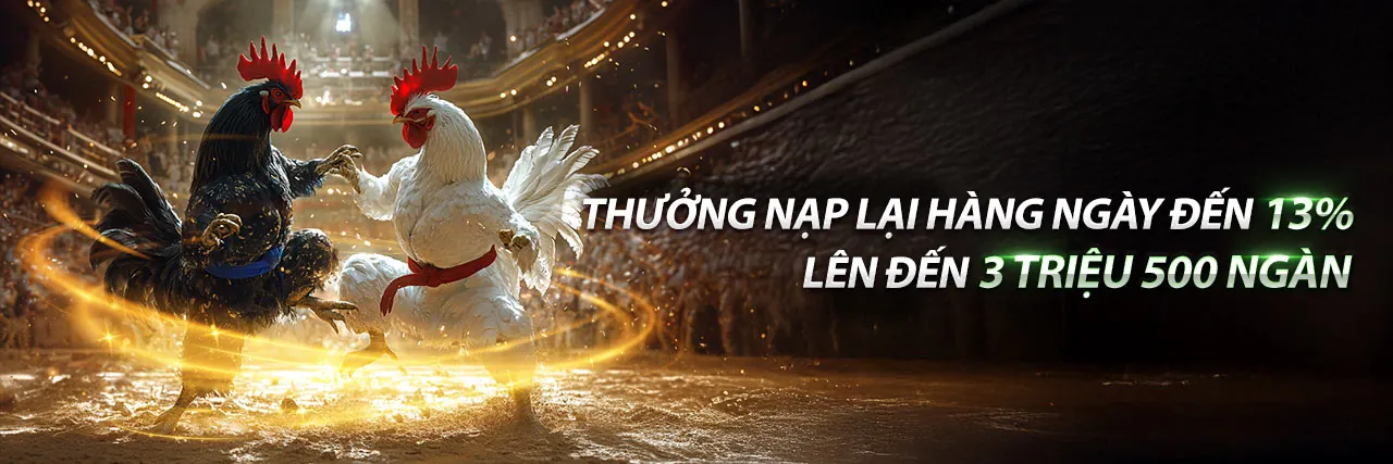 Đá Gà c54 bet - Sân chơi cá cược đỉnh cao